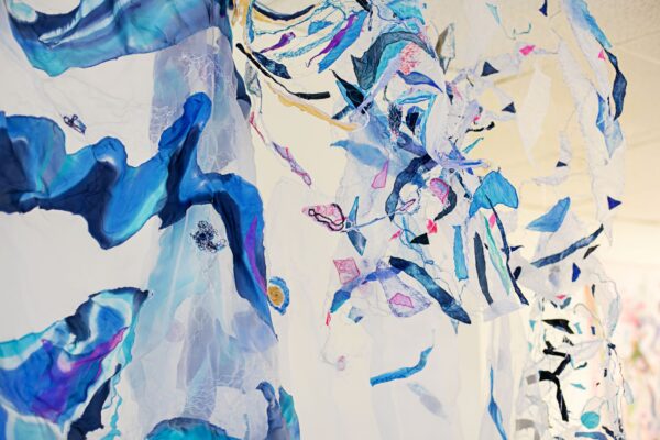 Coleen M. Davidson, Contemperory Textile Artist