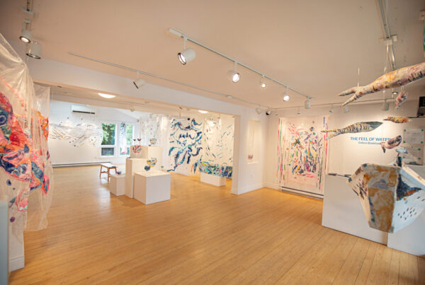 The Feel of Water - Chester Art Centre show July 2026 wide angle view