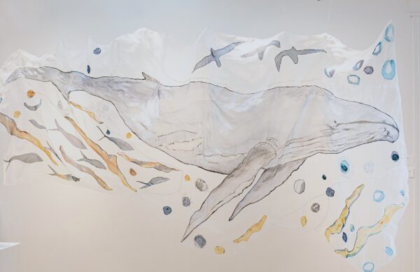 whale